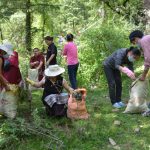 World Environment Day