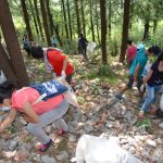 World Environment Day 2016 1