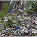 Environmental Protection and Awareness Programs 12