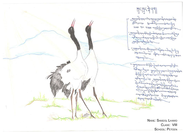 World Environment Day:Tibetan Animal Drawing Competition – LHA